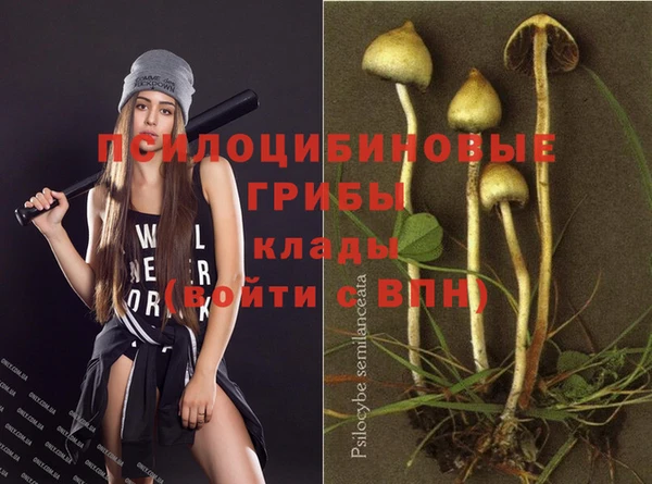 дживик Алексин
