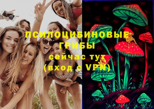 спиды Армянск