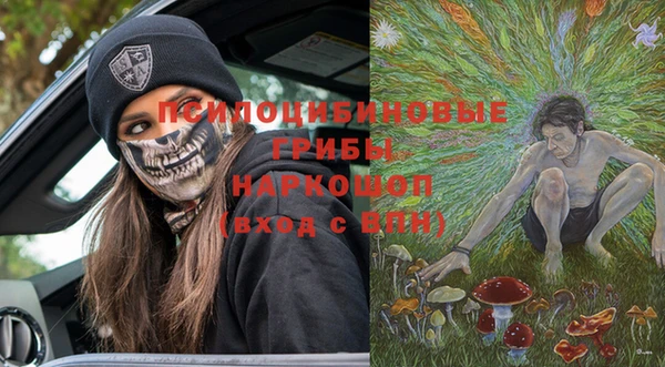 мдпв Арсеньев